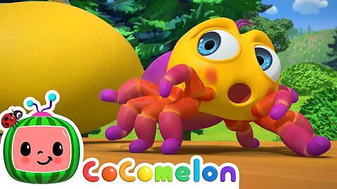 Itsy Bitsy Spider | CoComelon Nursery Rhymes & Animal Songs