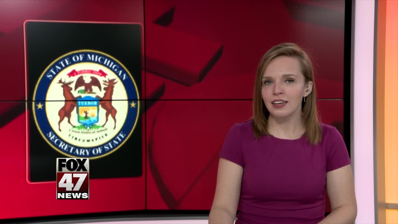 SOS working to fix troubled online system