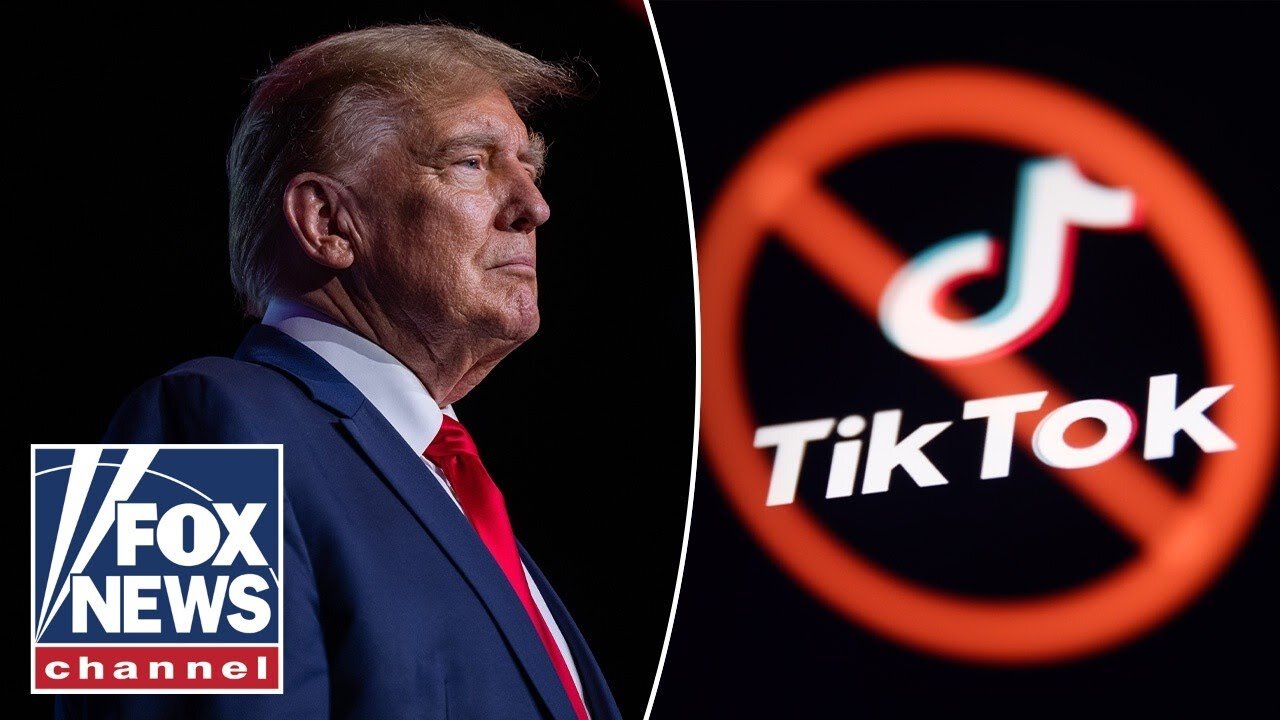 Biden administration ‘rushing’ to ban TikTok: Trump adviser