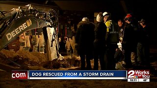 Tulsa firefighters rescue dog from a storm drain
