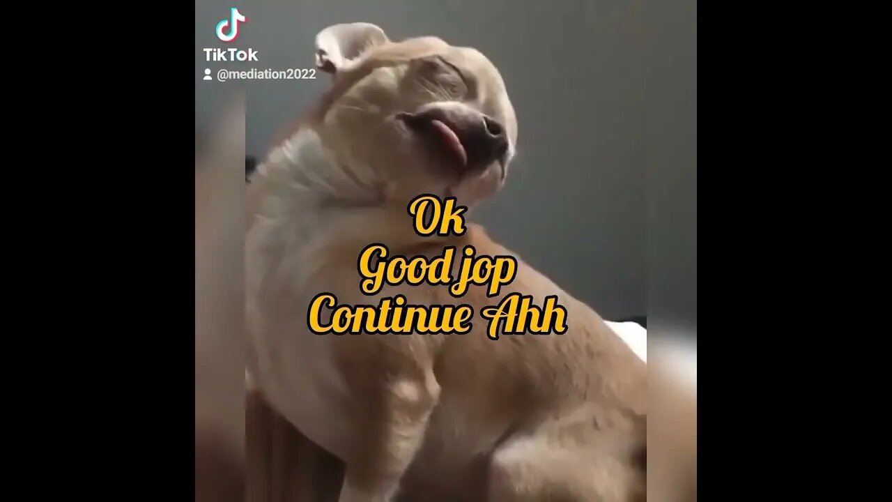 good jop