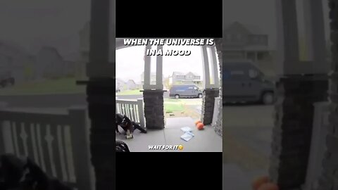 Amazon delivery driver takes a real nasty spill not once but twice!