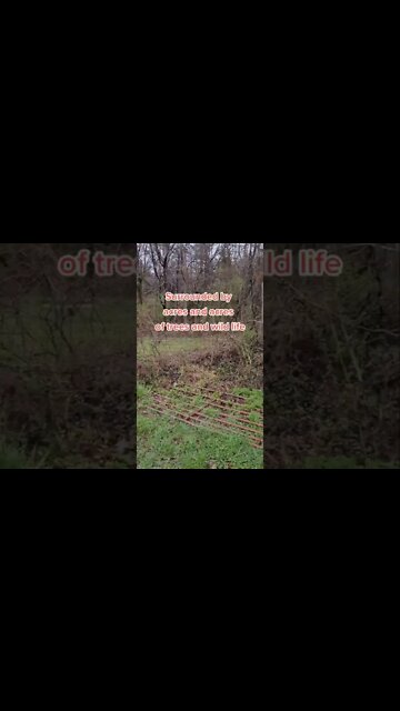 Self Sufficient in South Carolina