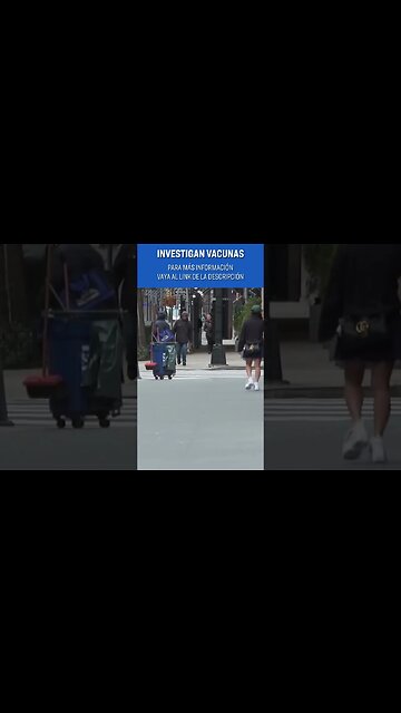 Cámara iniciará importante investigación; Tormenta de nieve dificulta viajes | NTD Día [23 feb]