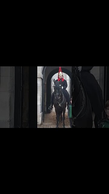 Guard shouts very loud make way #thekingsguard