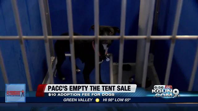 PACC is offering $10 fees throughout the month of June