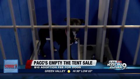 PACC is offering $10 fees throughout the month of June