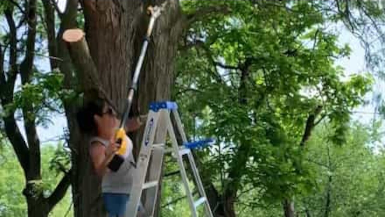 Cette femme se fait emporter par la branche qu'elle coupe