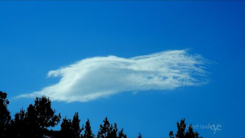 Crazy Cloud Cam | Image Set 074 | Disguise