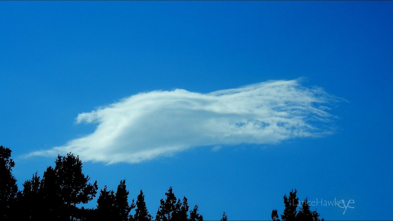 Crazy Cloud Cam | Image Set 074 | Disguise