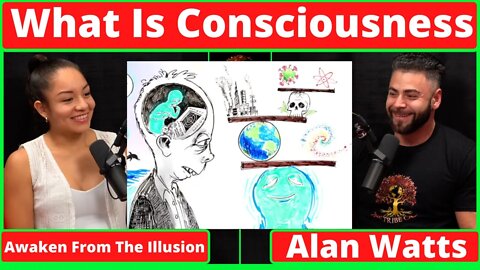 The False Idea of Who You Are - Alan Watts Reaction