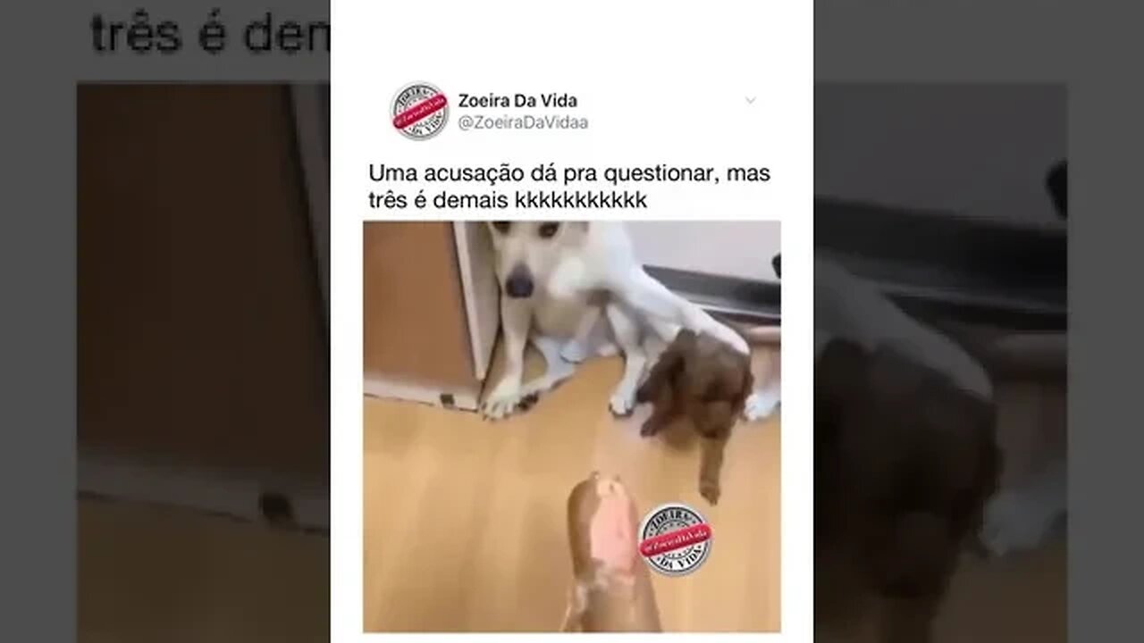 Quem mordeu o salame?