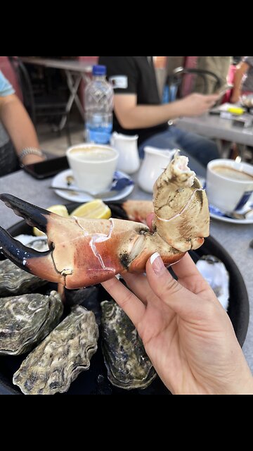 Port La Rochelle Farmer's Market,France