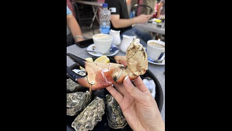 Port La Rochelle Farmer's Market,France