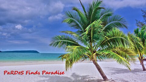 Using PRDS To Find Paradise