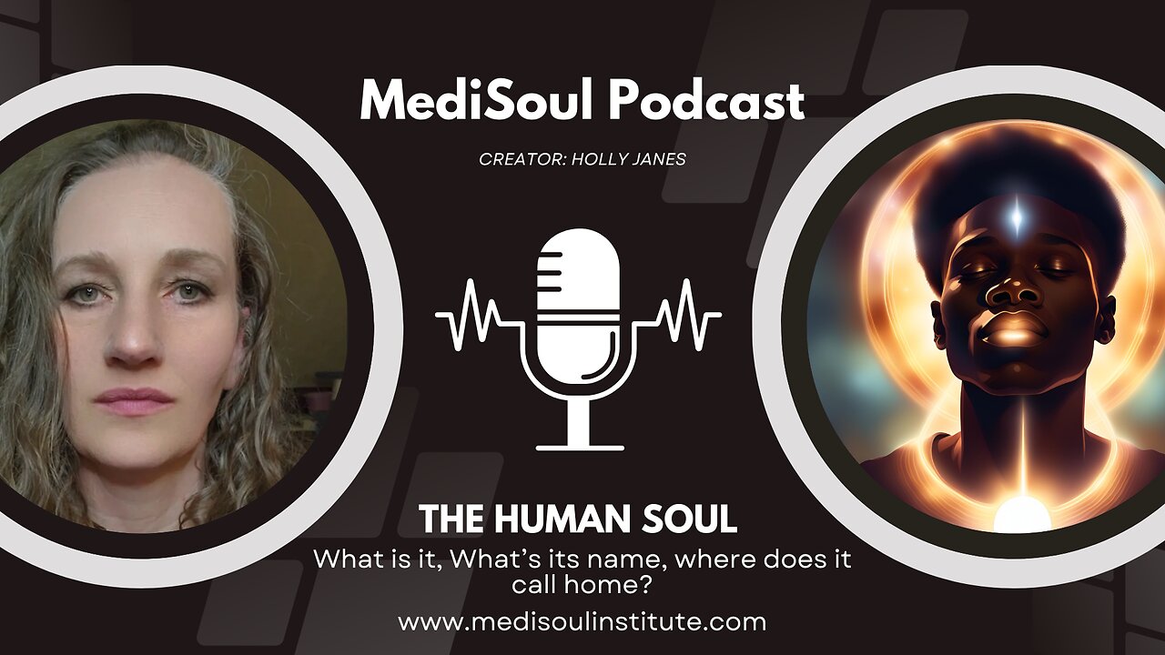 What is the Human Soul?