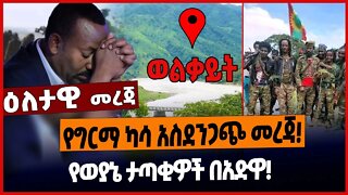 የግርማ ካሳ አስደንጋጭ መረጃ❗️የወያኔ ታጣቂዎች በአድዋ❗️