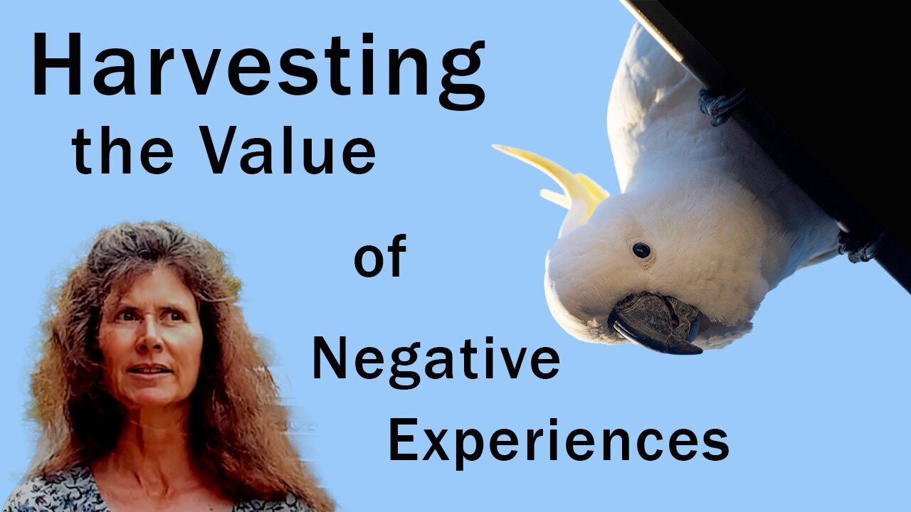 Billy Meier: Harvesting The Value Of Negative Experiences