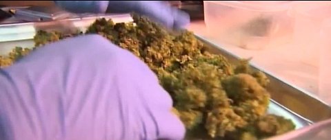 Cannabis compliance Board meeting today