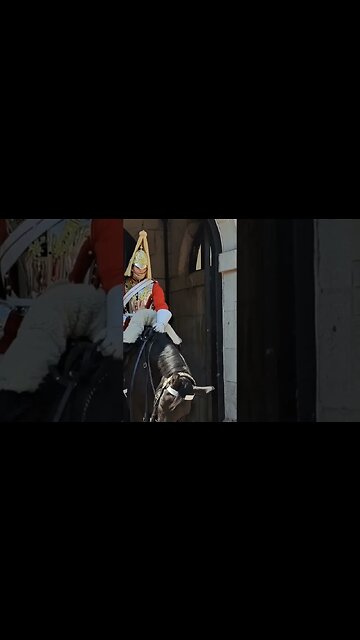 Guard give the toutist look #horseguardsparade