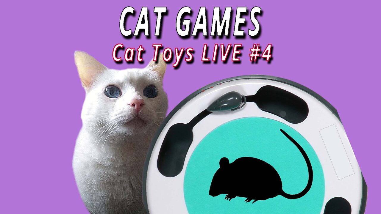 CAT GAMES: Cat Toys Live #4