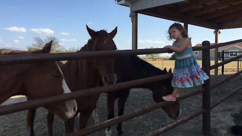 Farming in Kansas