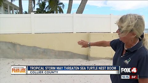 Tropical Storm possible threat to sea turtle hatching season