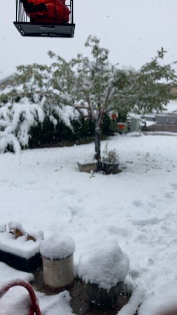 First snow of the year