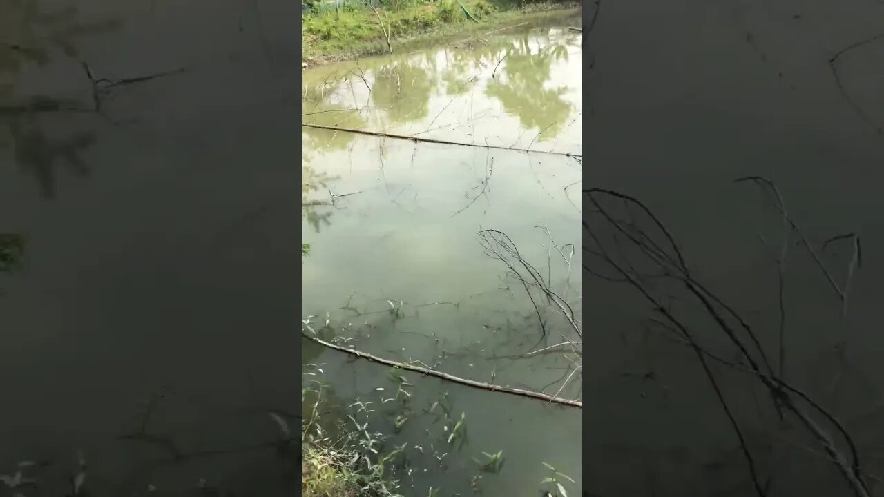 best Weather in my village 