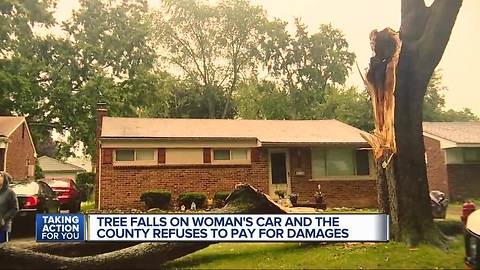 Tree falls on woman's car and the county refuses to pay for damages