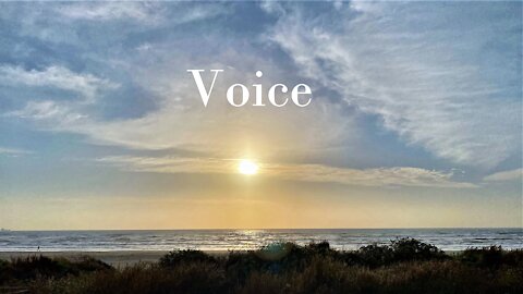 Voice