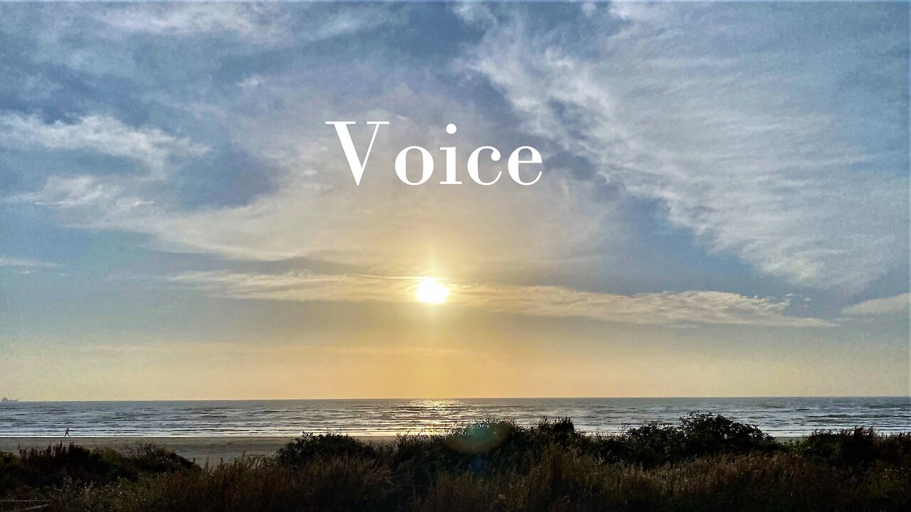 Voice