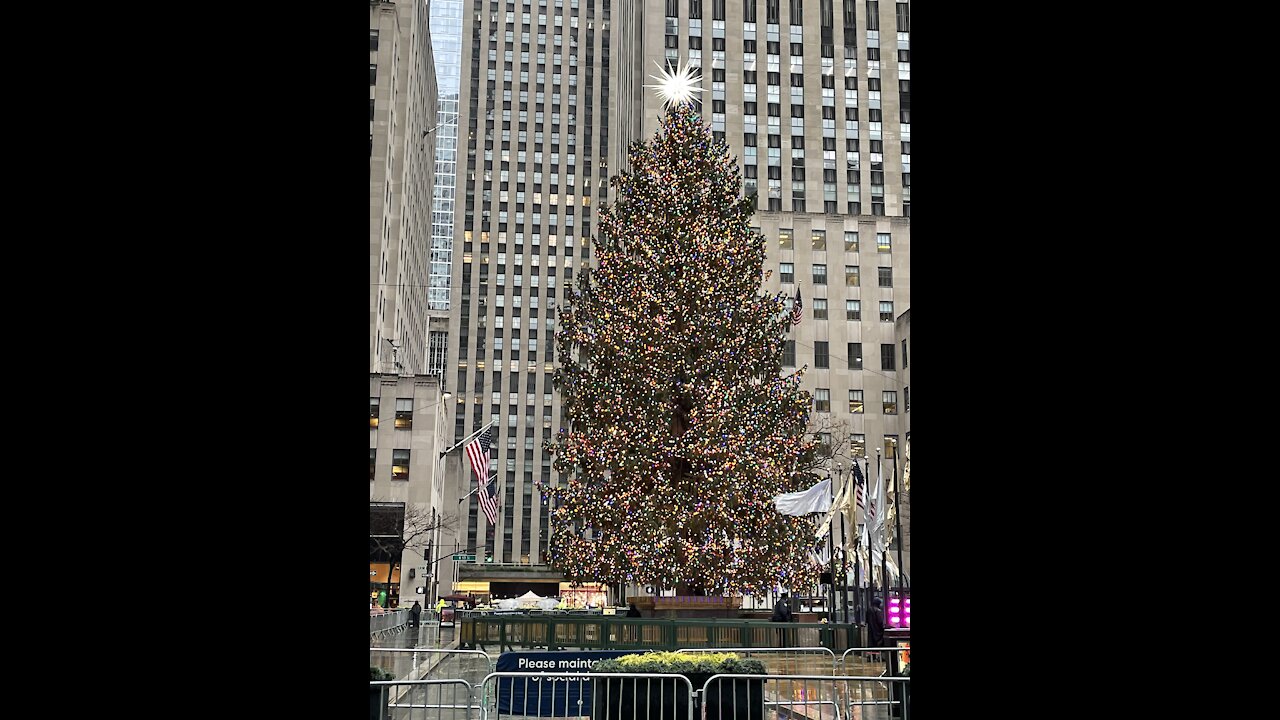 Rockefeller Center Christmas Tree 2020