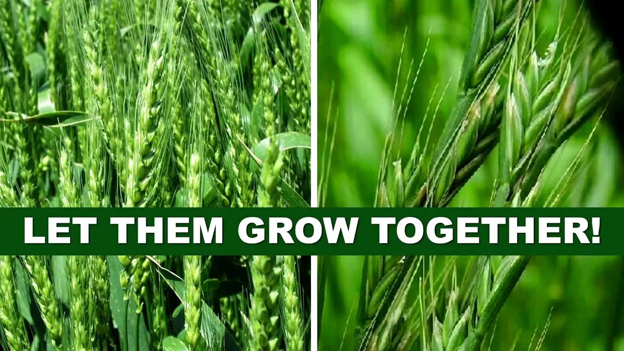 Let them grow together