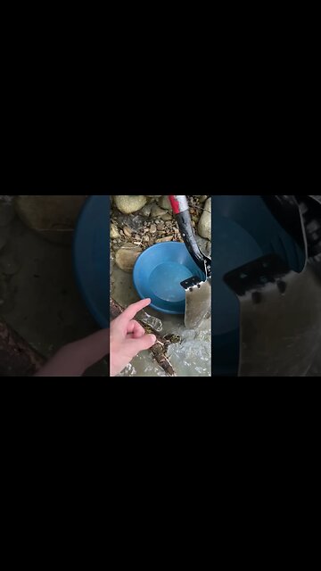 Gold panning gold straight off of the clay!