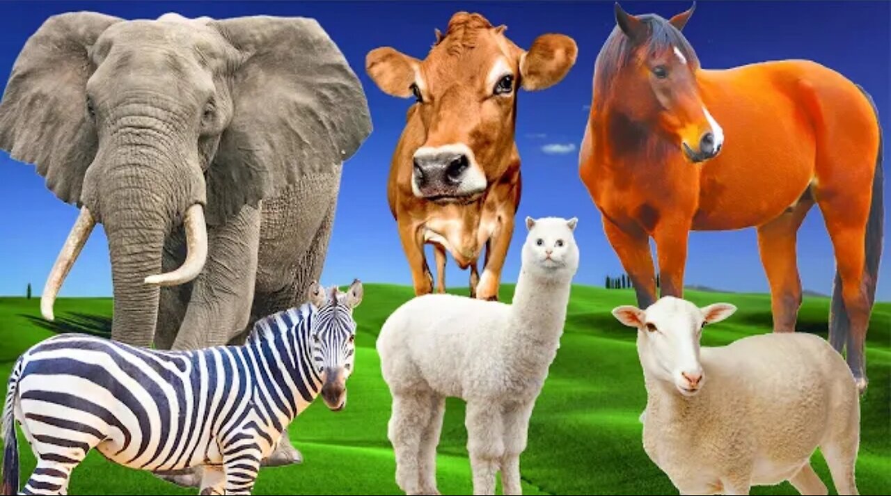 Herbivores - Giraffe , Elephant , Cow , Goat , Horse | Animal sounds