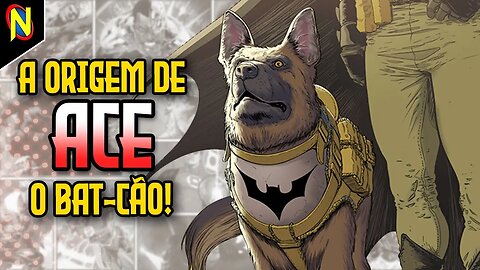 A ORIGEM DE ACE, O BAT-CÃO