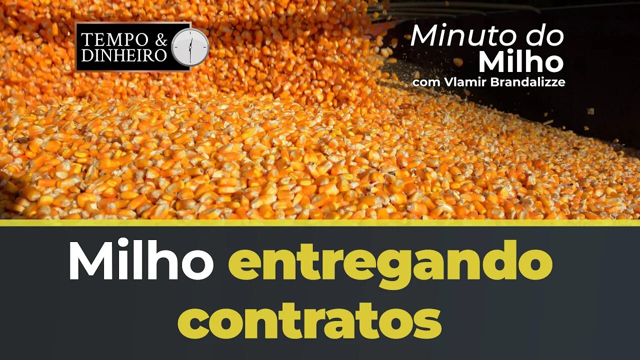 Milho entregando contratos