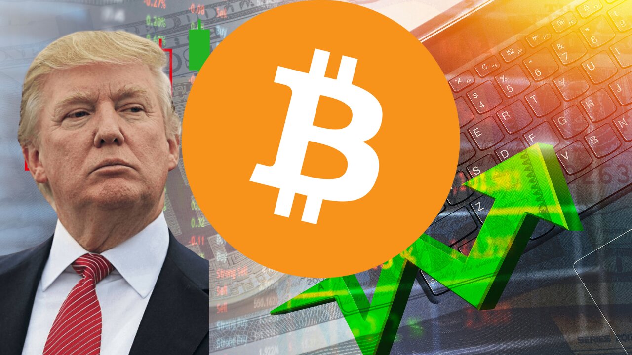 Bitcoin nears $90k, long-term holders wake up - DAILY CRYPTO NEWS November 12, 2024