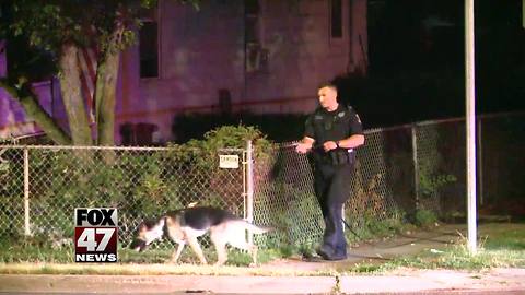 House shot at overnight in Lansing