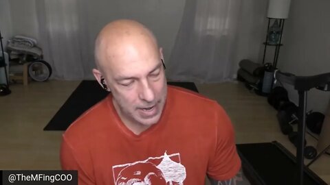 My Virtual Penis - Excerpt from Live on 11/2/22