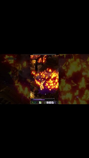 Cousins Been Trolling You, So You Decide to Troll Him Back - Divinity Original Sin 2