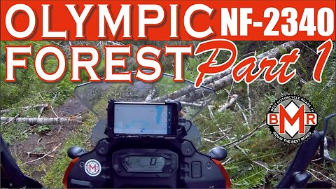 Olympic Forest 2340 on my Kawasaki KLR 650 | Washington Motorcycle ADV Off Road