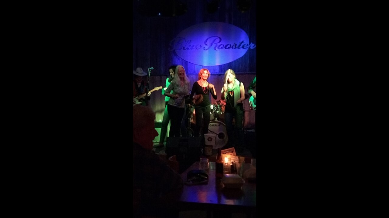 Blue Rooster Blues...end of an Era in Sarasota Florida