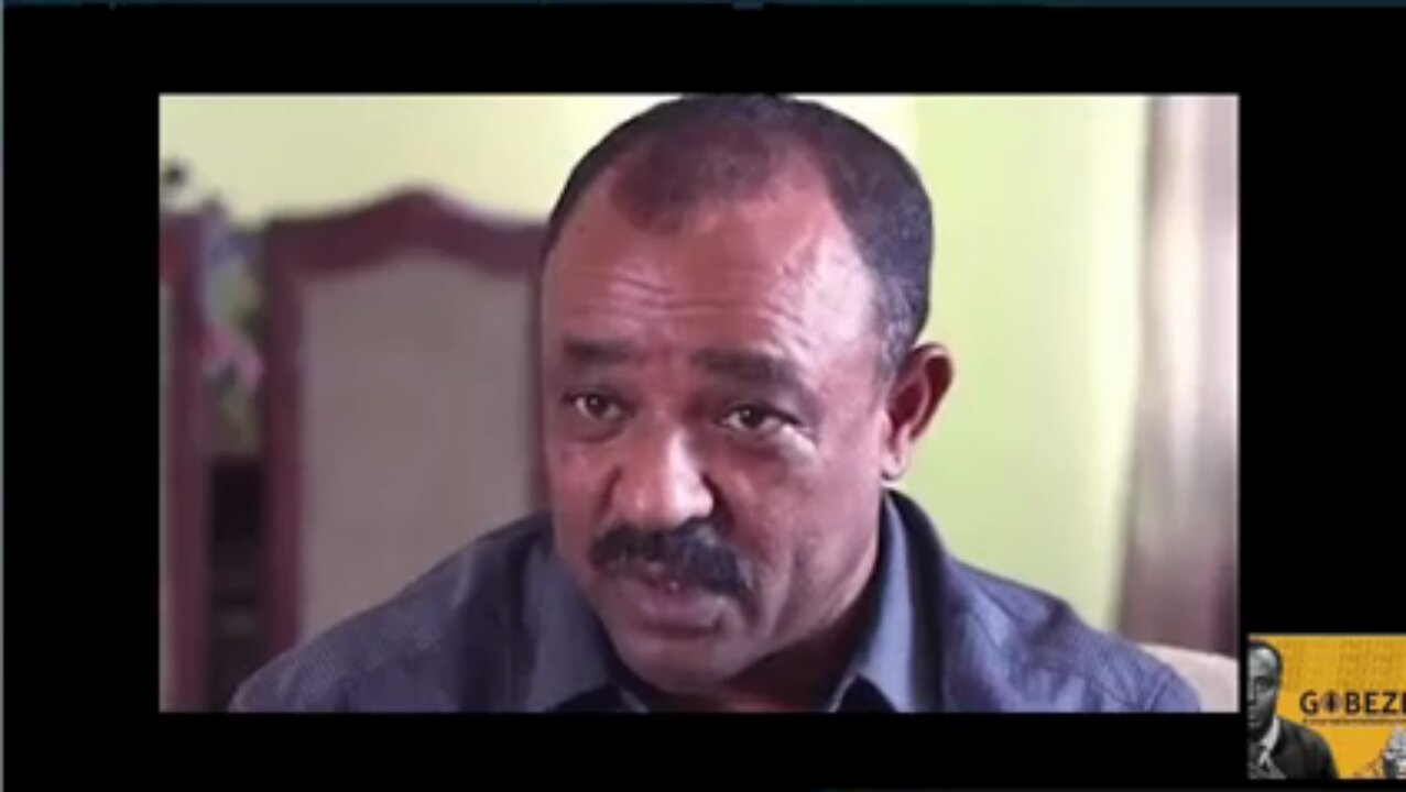 ትግሉን የገደሉት የብአዴን ብልጽግና ትርፍ አንጀቶች ናቸው - ጄ/ል ተፈራ ማሞ