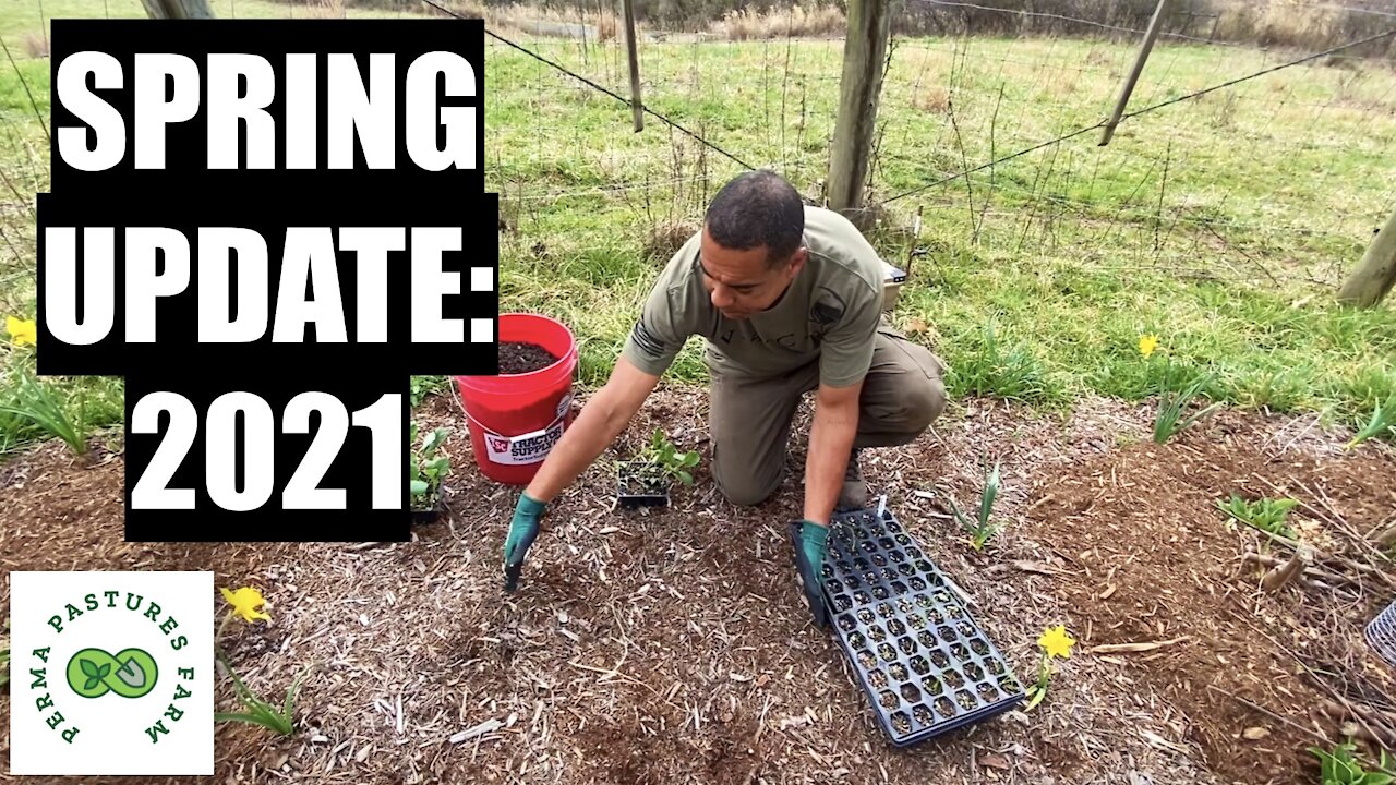 Maximize Your Growing Area // Spring Update 2021