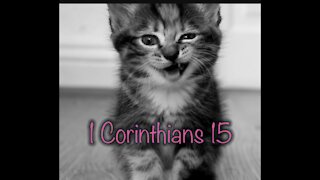 Read the Bible with me. 1 Corinthians 15 (NCV)