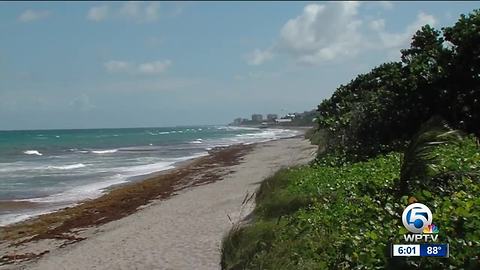 Beaches closed in Jupiter after some beachgoers experience respiratory issues