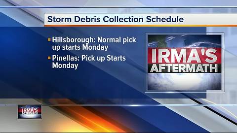 After Irma: What to do with debris