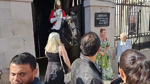 The dog had never seen a horse before #horseguardsparade